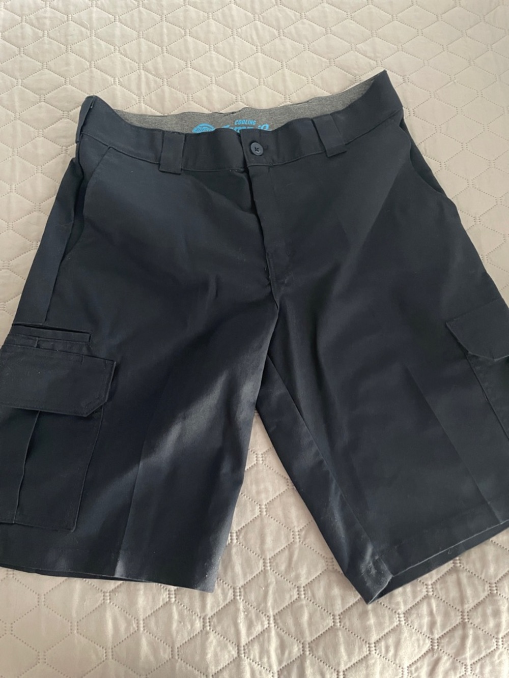 Dickies Black Men's Cargo Shorts with Side Pockets